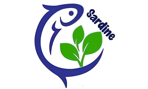 ساردین