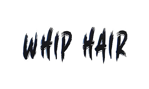 Whip Hair